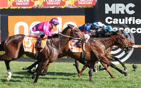 Caulfield Guineas Odds and Betting 